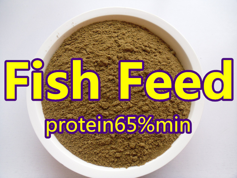 Fish Meal for Feed Protein
