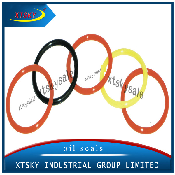 XTSKY Oil Seal and Ring