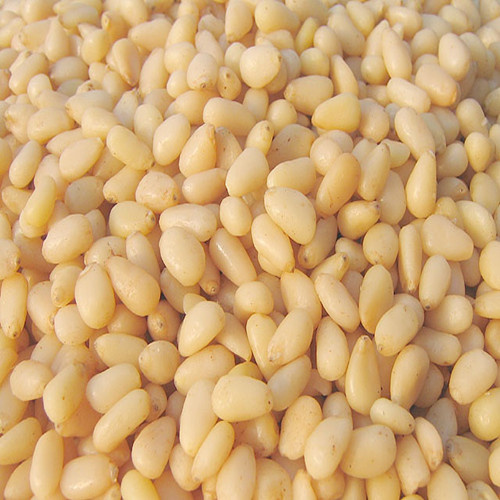 Pine Nut Kernels