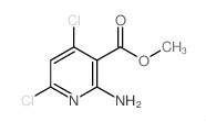 High Quality 2-Amino-4, 6-Dichloro-Nicotinic Acid Methyl Ester Powder 1044872-40-3