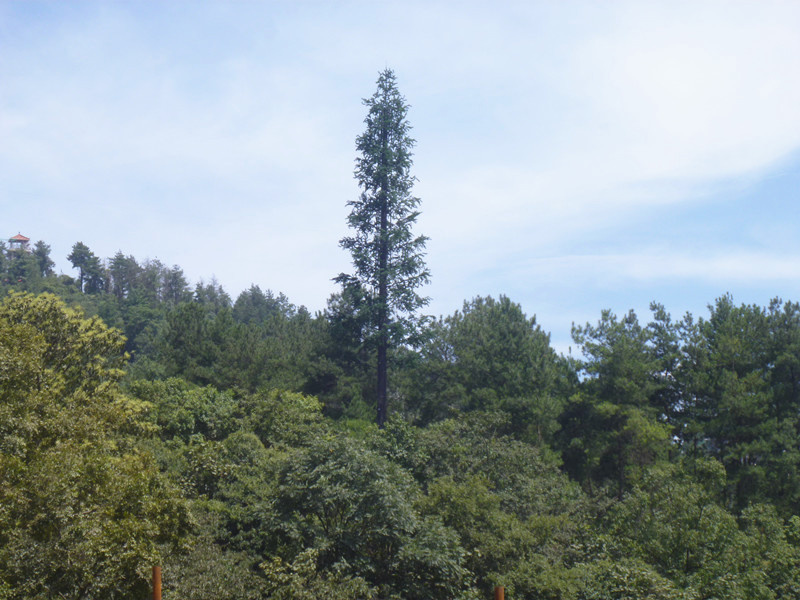 New Product 2014 Communication Tower Artificial Pine Tree (SJ0012)