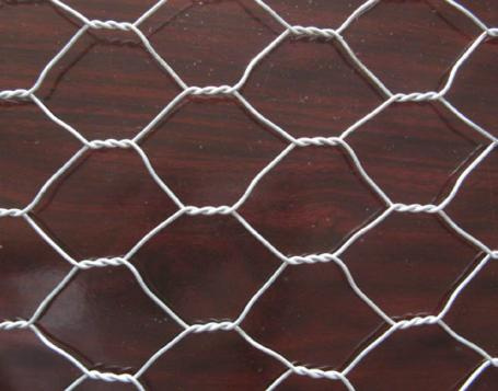 Hexagonal Wire Netting