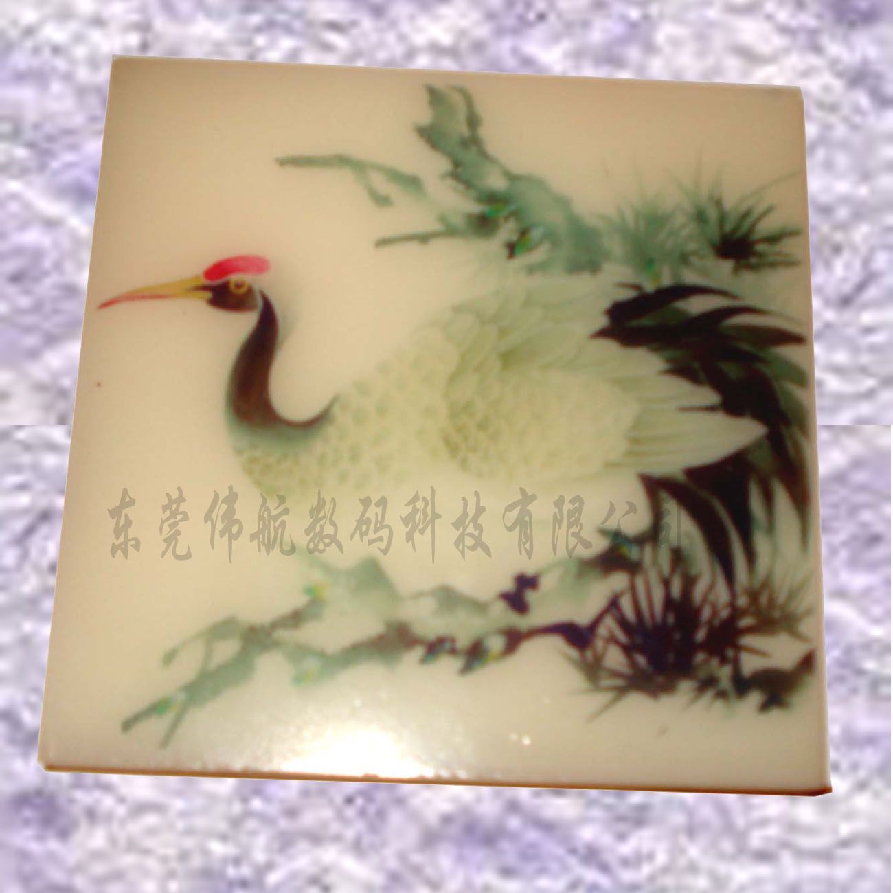 Digital Plastic Printing Machine