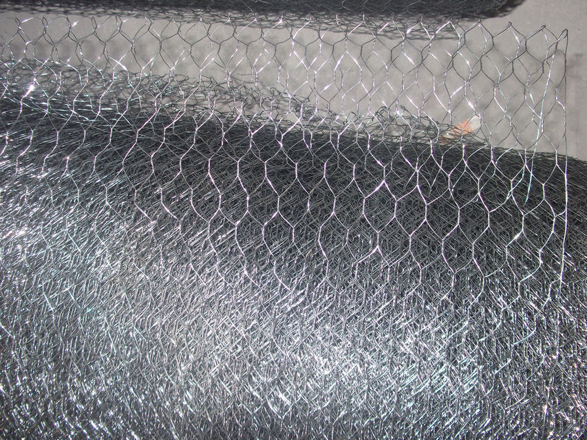 Chicken Wire Netting (HWM-08)