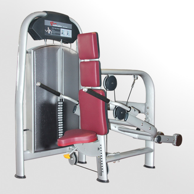 Fitness Equipment-Gym Equipment for Seatedtricpes Extension (M5-1011)