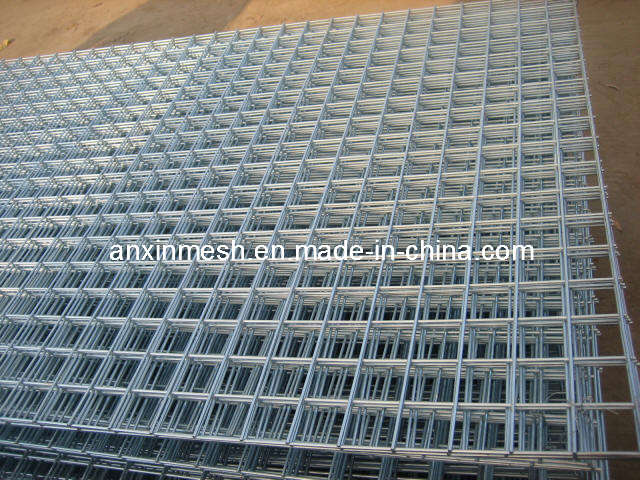 Welded Wire Mesh
