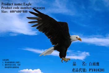 Simulation Feather Eagle
