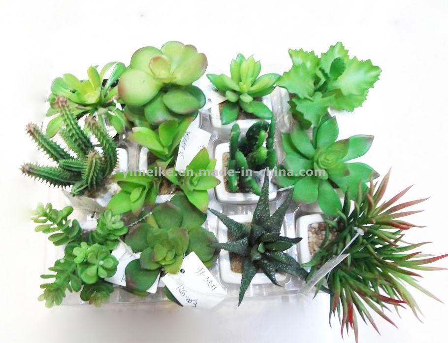 High Imitation Small Potted Plants 12 Models Mixed