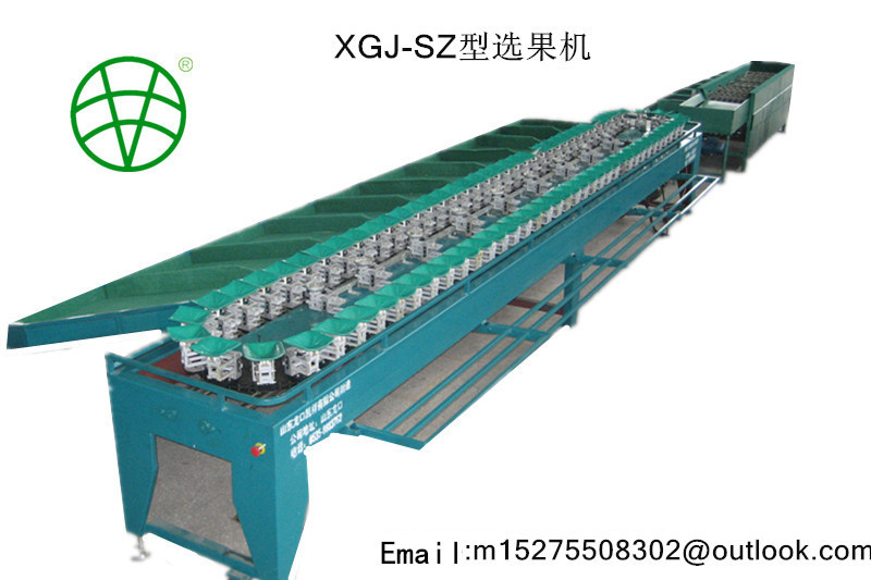 Automatically Fruit Classifying Machine