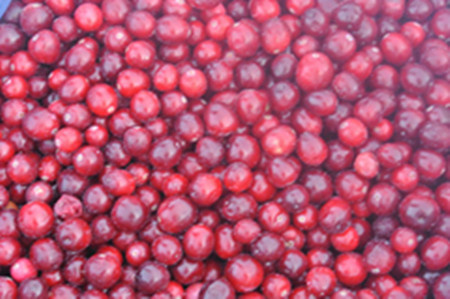 Cranberry Extract 5%-70% Anthocyanin, 1%-95% PAC