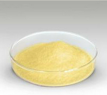 High Quality Oxytetracycline Powder CAS No.: 2058-46-0