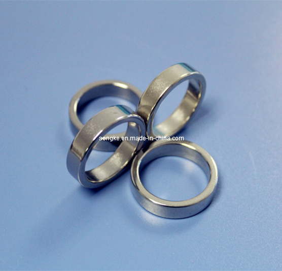 NdFeB Ring Shape Magnet Used in Speaker