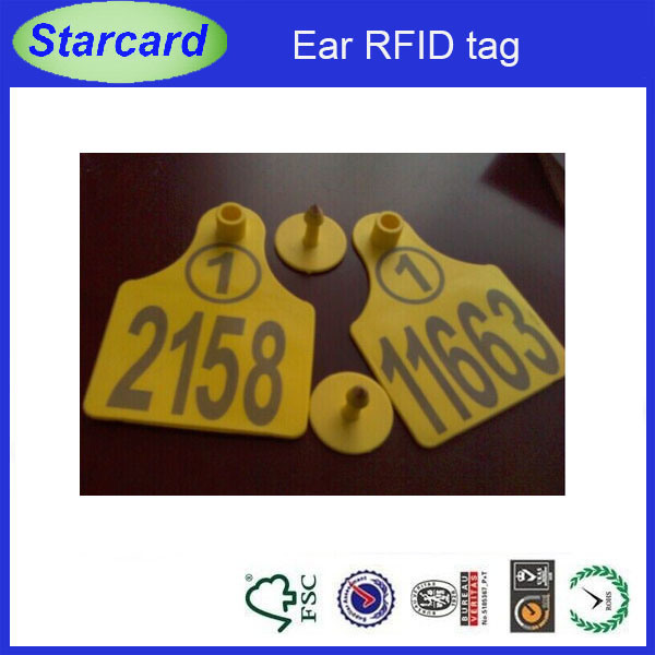 Livestock UHF RFID Animal Ear Tag with Square