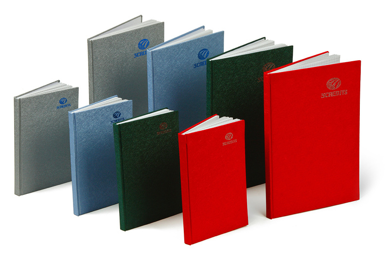 Professional Notebooks
