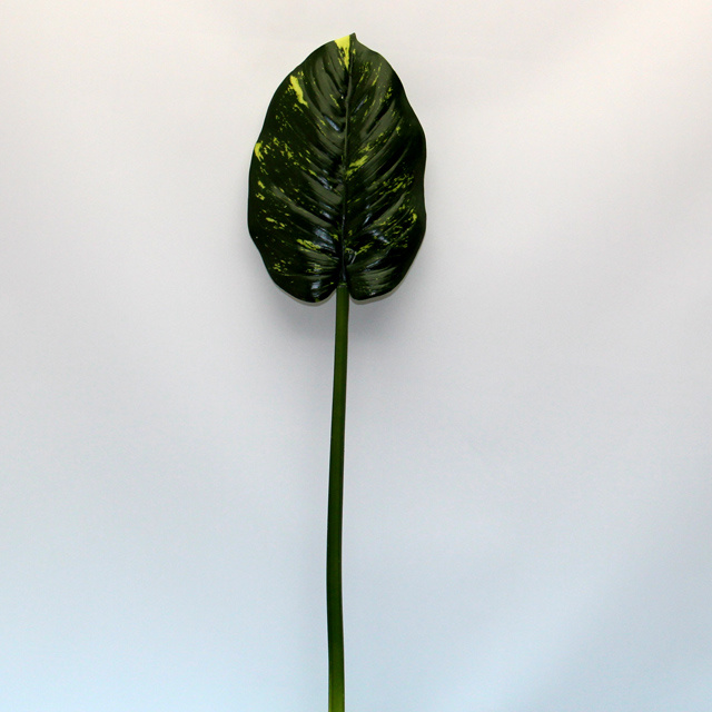 Artificial Leaves, Imitative Leaf (TC060031-LV0601)