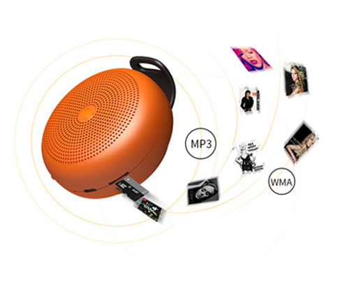 Mini Bluetooth Speaker