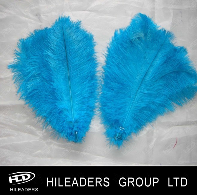 Fashion Show and Carnival Dyed Ostrich Feather