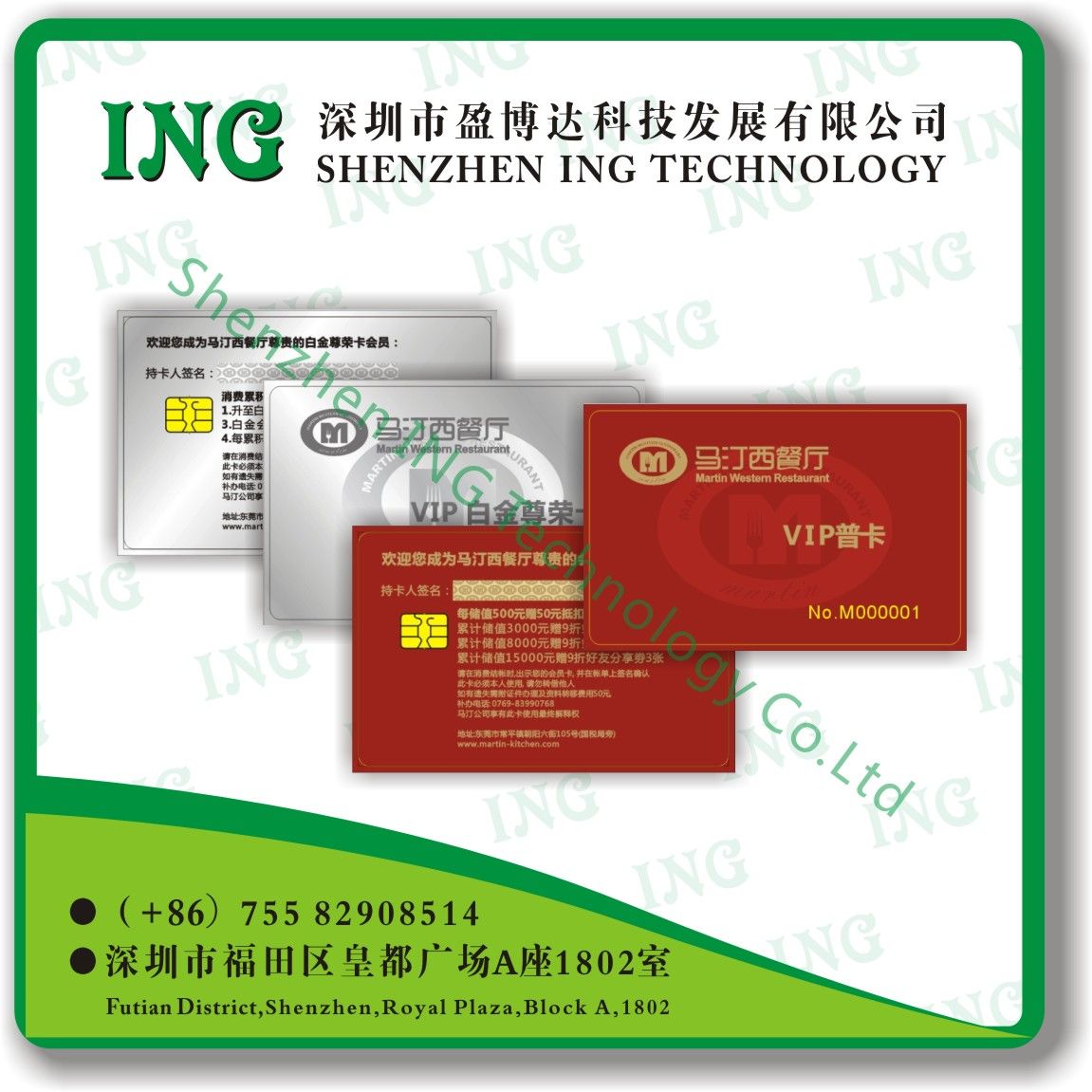 Logical Encryption Card/Smart Card/Sle