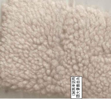 Polyester Sherpa