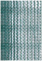 Olive Net