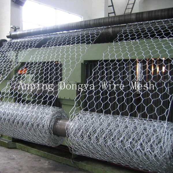 Hexagonal Wire Netting for Gabion