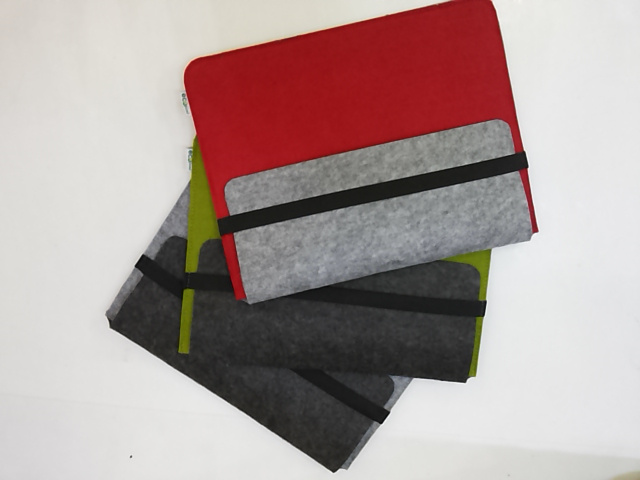 Felt Document Case