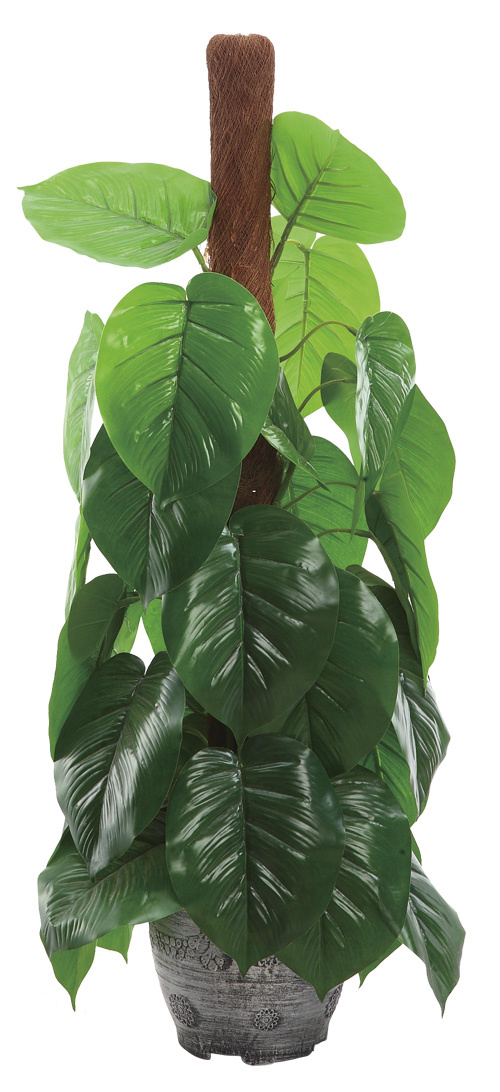 0067 80cm 2014 China Cheap Home Artificial Hedge Bonsai Tree