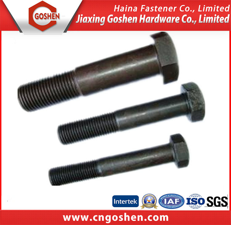 Hex Head Bolt for Steel Structures (DIN7990)
