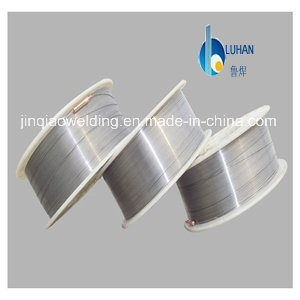 CE Approved/Stainless Steel Welding Wire (E309L)