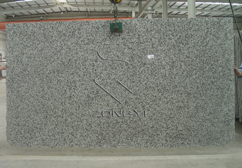 Granite Slabs (G439)