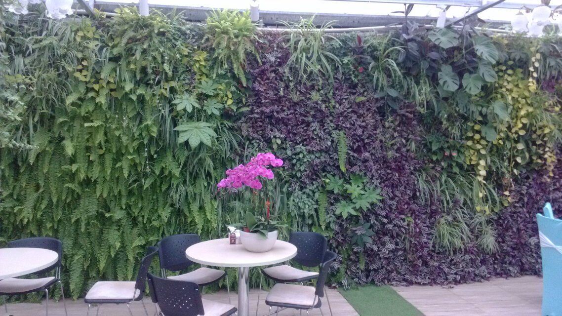 Good Quality of Artificial Plants and Flowers of Green Wall Gu-Mx-Green-Wall007