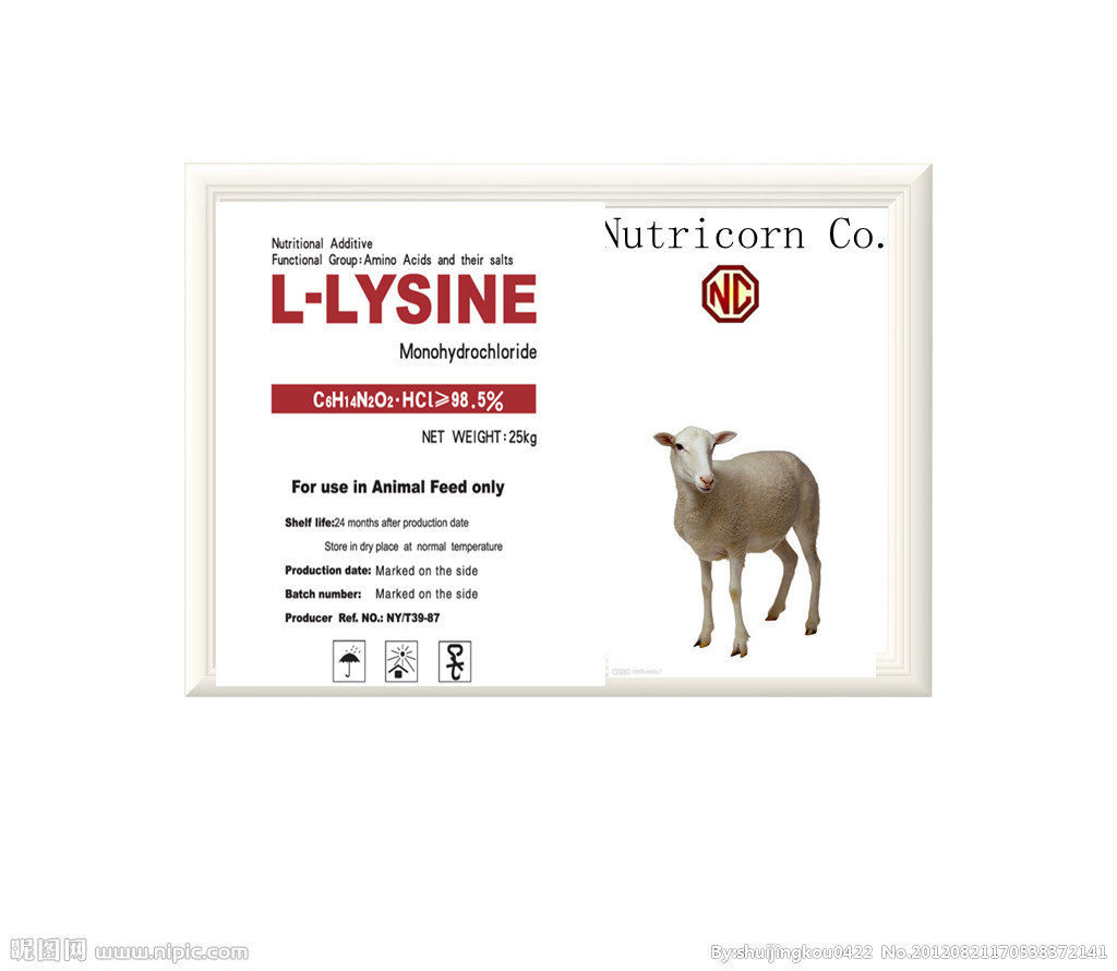 Nutricorn Feed Additive L-Lysine-Hclfor Animal