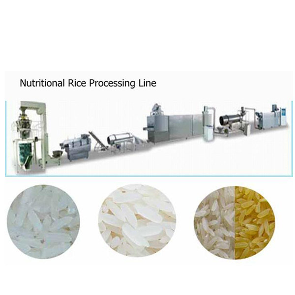 Denaturated Starch/Nutritional Powder/Artificial Nutrition Rice Machine/Processing Line