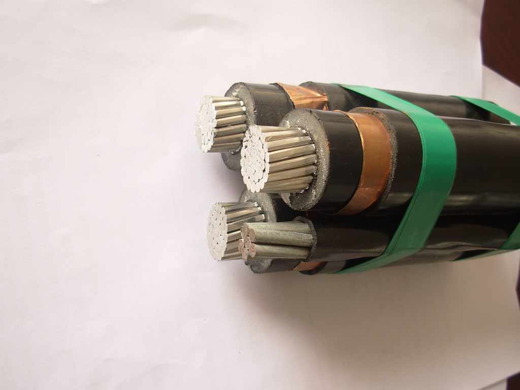Quadruplex Service Drop AAAC 6201 Alloy Neutral Conductor Shetland