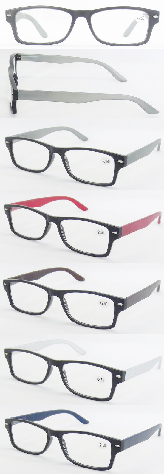 Shell Pattern Reading Eyewear (RP485005)