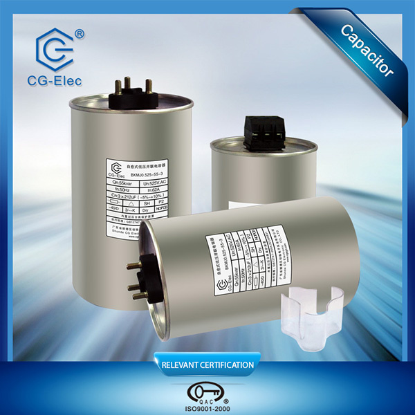 AC Output Filter Capacitor