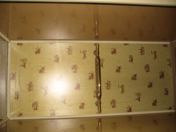 Villa Elevator/ Home Elevator