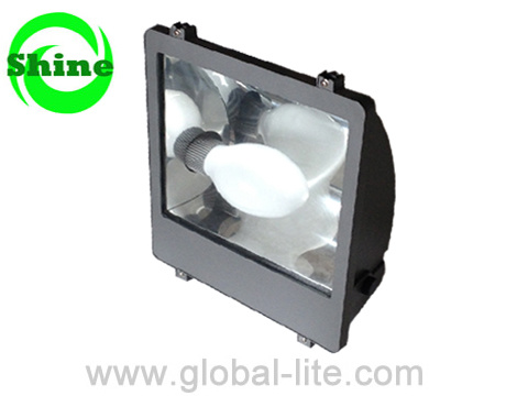 Flood Light with Induction Lamp Fl-3110