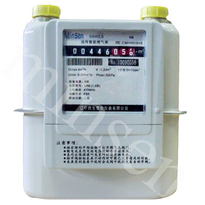 Wireless Gas Meter (GK 1.6)