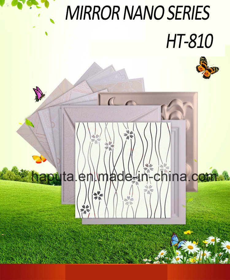 Waterproof, Fireproof Panel for Wall and Ceiling