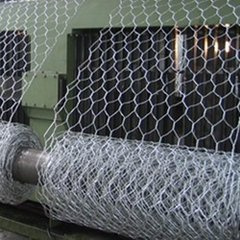 Galvanized Iron Wire Hexagonal Netting Chicken Poultry Mesh