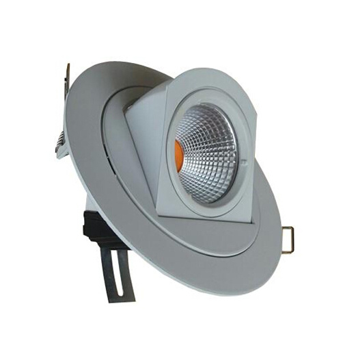 10W LED COB Down Ceiling Light (TJ-XBL-6-10)