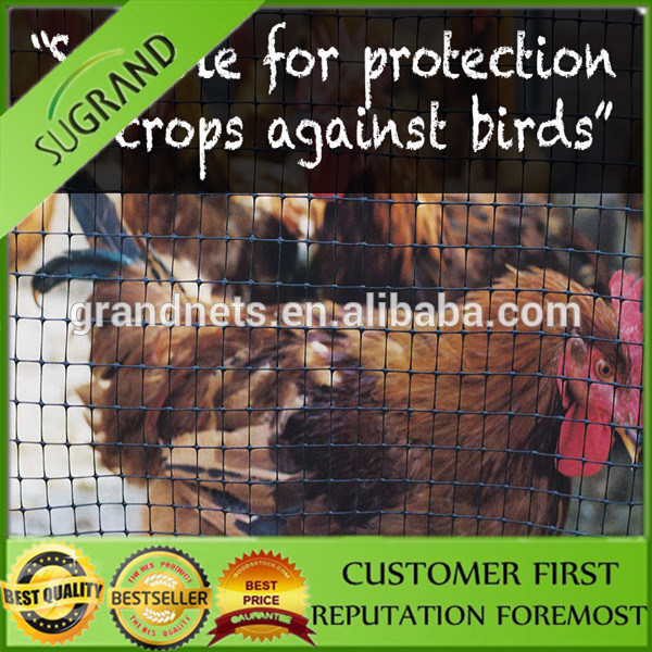 Plastic Garden Anti Bird Protection Net