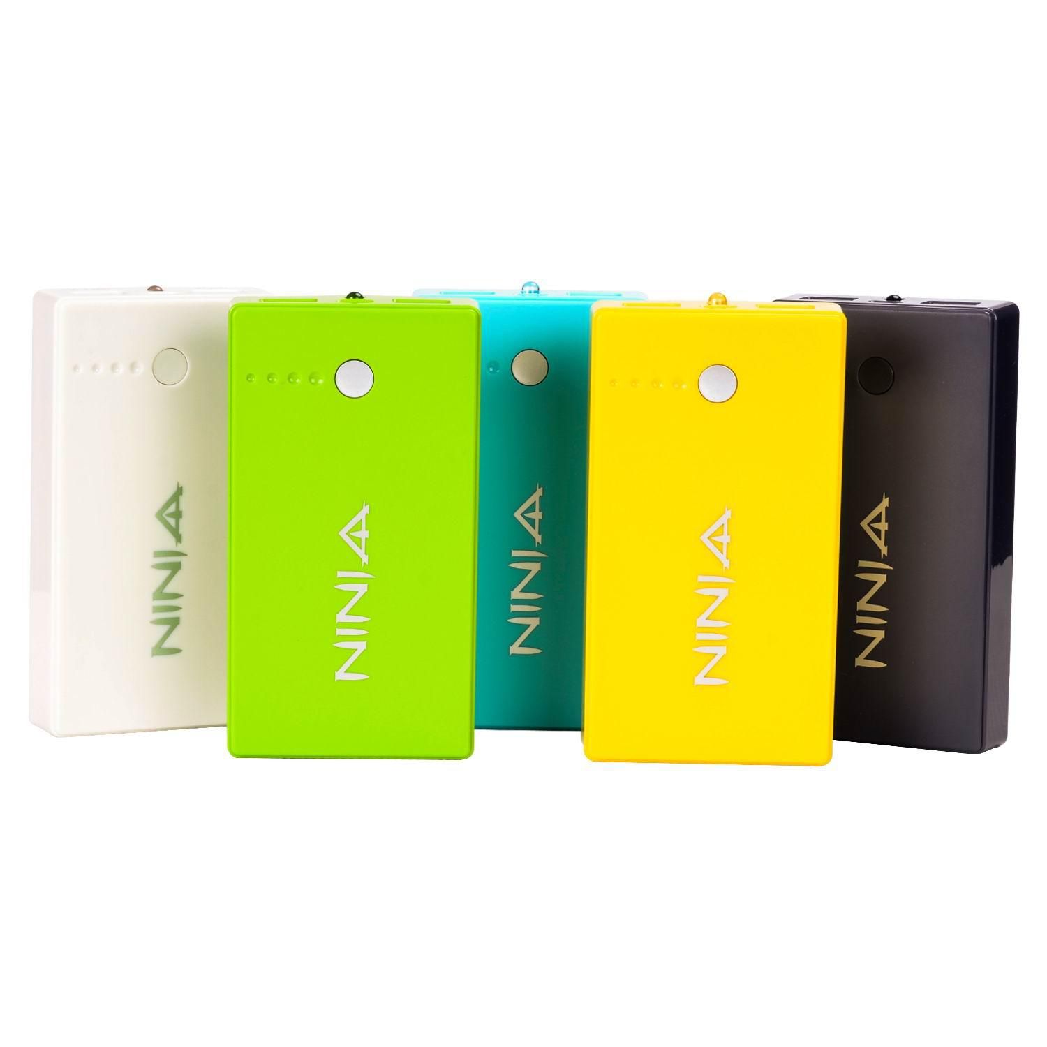 Dual Output & High Capacity Power Bank (N0103)