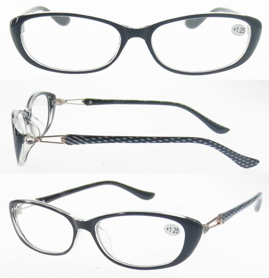 Eyewear Glasses/Plastic Eyewear/Fashion Eyewear (RP487014)