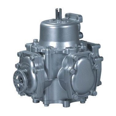 Fuel Dispenser Flow Meter (RSJ-90)