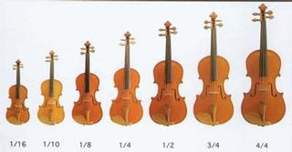 Violin