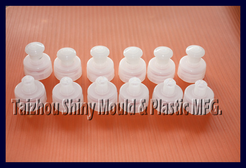 Push Pull Cap Mould