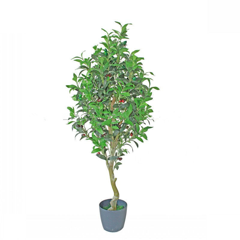 High Simulation Artificial Ficus Bonsai Tree with Cheap Price