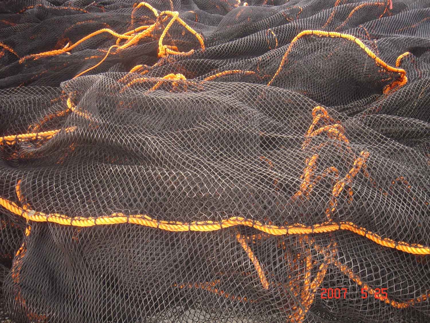 Netting